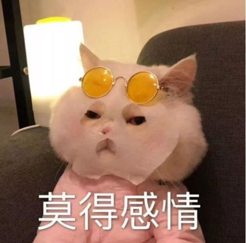 广东又回暖了但月底...