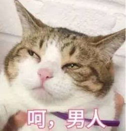 搞笑段子男朋友问,我跟火锅哪个重要