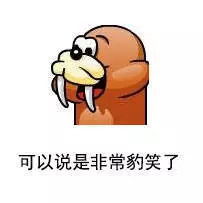qq宠物停运,网友直呼舍不得,还有这些回忆杀,总有一个让你飙泪