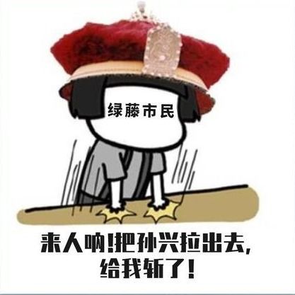 扫黑风暴表情包有哪些扫黑风暴绿藤市专属表情包大全咖绿茵手游站