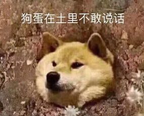 乔欣邻居证实豪宅价值3亿可停私人飞机前女友宋茜发博大仇已报