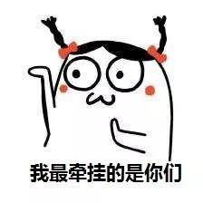 新青年2018我最牵挂的还是没车的你们