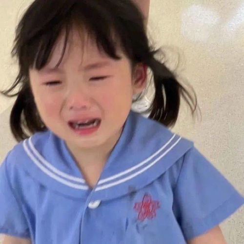 救命这期头像每张都想换
