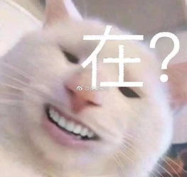 在浙大感到凉凉的35个瞬间