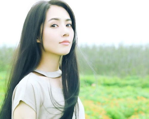 郭碧婷35岁我信,包贝尔35岁我信,戚薇我也信,但她不敢信网易订阅