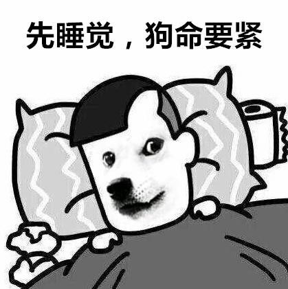 睡觉吧狗命最重要表情包软件下载睡觉吧狗命最重要表情包最新版pc端极光下载站