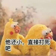 鹦鹉兄弟表情包第一弹