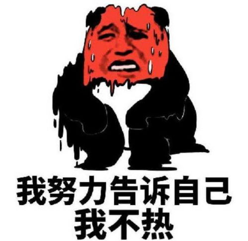 搜狐汽车专注车.只为你