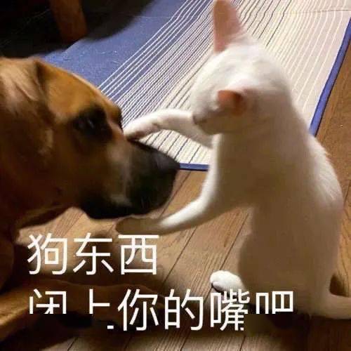 表情包哥哥我上钩了,快拉我