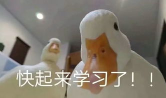 可爱兔兔表情包宁淮铁路