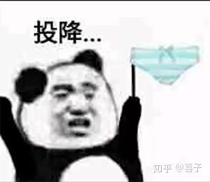b站coderwhy老师b站半佛老师视频里的表情包持续更新第一弹