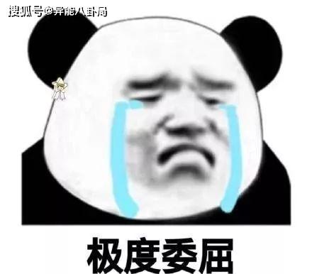 他们是不是有点过分了