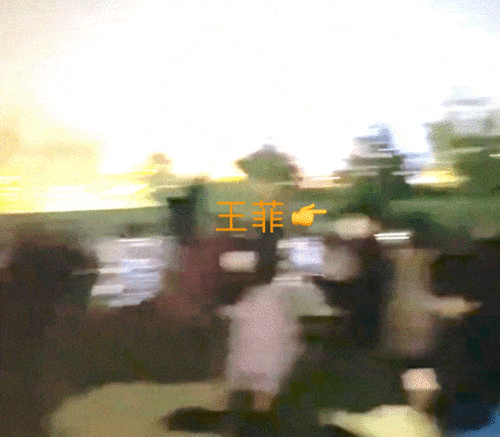 王菲音乐节上蹦丢手机,找回来的瞬间表情亮了