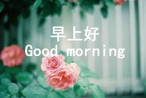 微信早安正能量经典语录集女人早安正能量励志语录