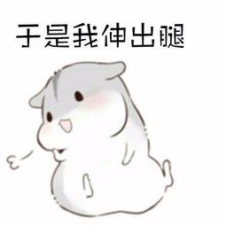 这个图片从哪找到的
