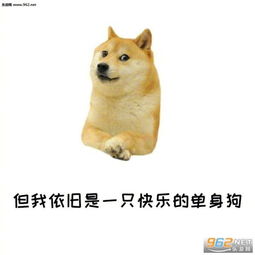 这年代,谁的男朋友还不打点游戏