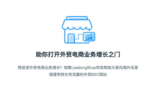 领售leadongshop打破技术壁垒,单枪匹马也能做跨境电商