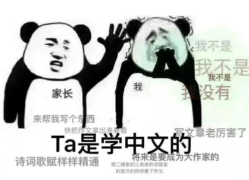 快手上很火的表情包汉语言文学