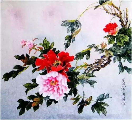 花开富贵送吉祥国画牡丹