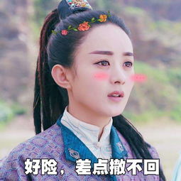 赵丽颖玉哥杉杉君不用配词的标准表情包