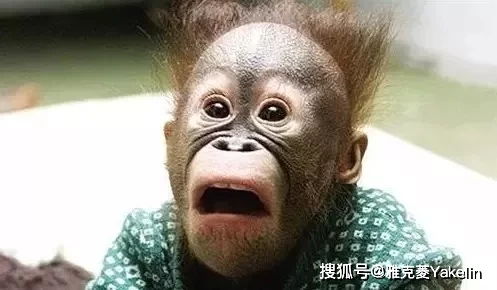 giao个微信表情包口腔溃疡