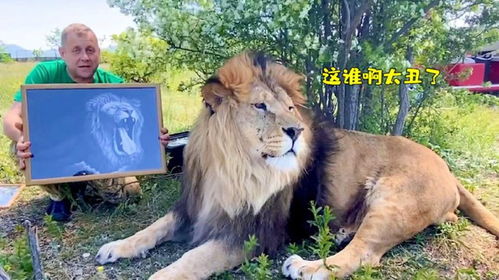搞笑图片表情包雄狮