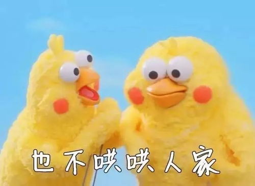 逛街12星座的恋爱底线,一碰就炸