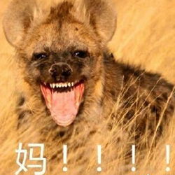 2017母亲节专用表情包呼唤母亲系列我是母亲的宝贝母亲的甜心
