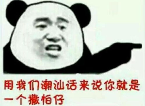 用各地方言说你是sb表情包