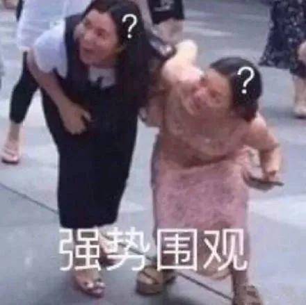 长腿程序员朱亚文搭档plmm金晨,演绎高能悬案剧你可吗