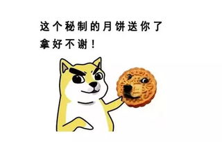 青岛接下来早晚温差10中秋天气全是