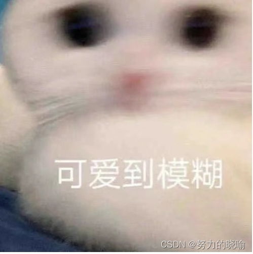 php新手入门简单了解php知识
