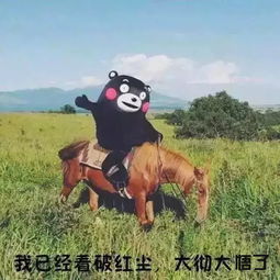 盛开金融当你没及时回复女朋友的信息时