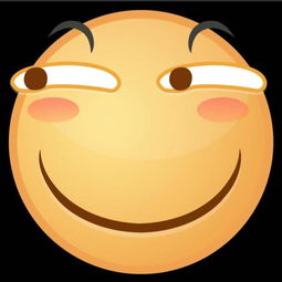 恐龙外套滑稽表情包老外