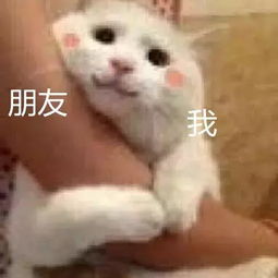 抱大腿图片表情包头像
