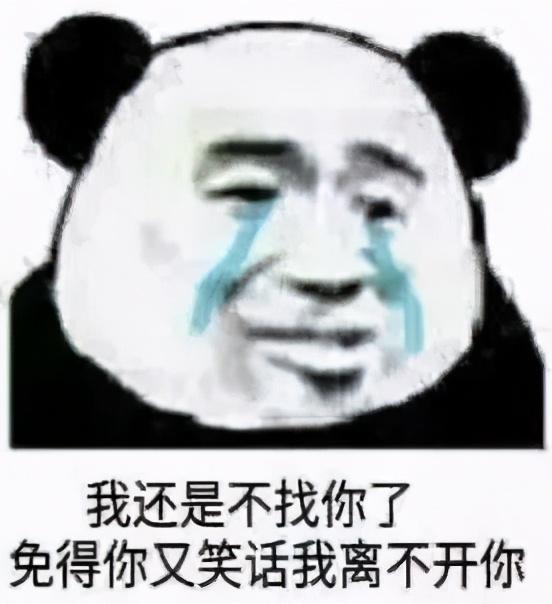 表情包早安,我的小炮友