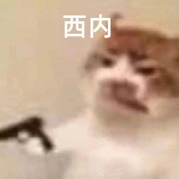 我的收藏