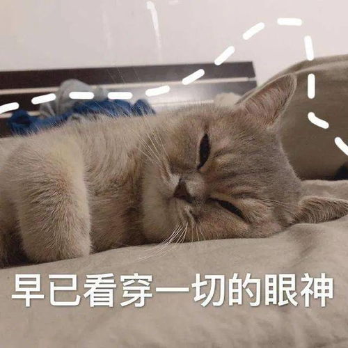 你问我答第9期22考研现在开始备考会不会太早