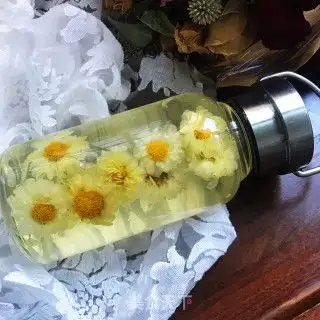 蜂蜜菊花茶的做法蜂蜜菊花茶怎么做米拉miira的菜谱