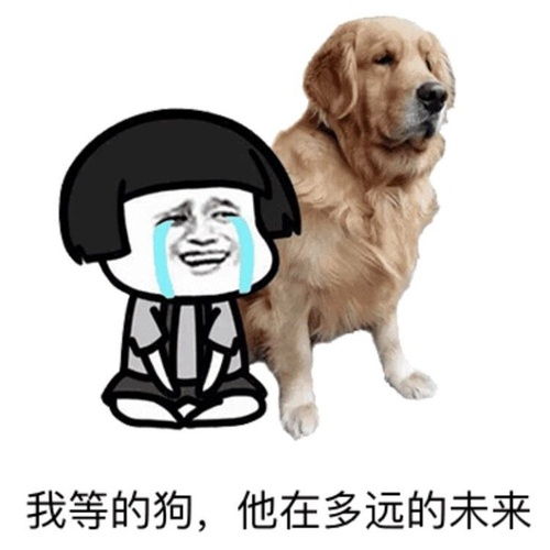 累