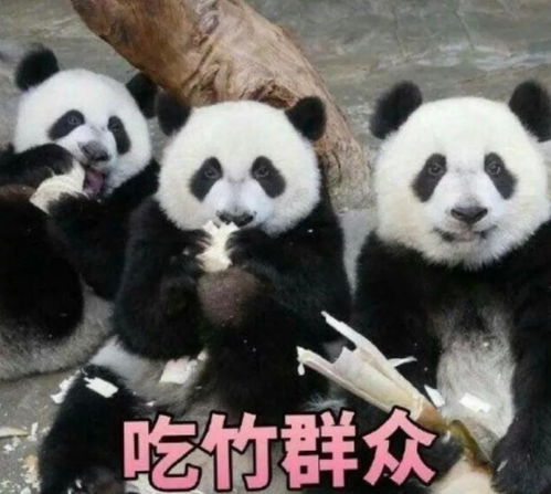 手机碎屏能自我恢复,腾讯发福利,每人最少省2千元