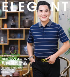 条纹冰丝体恤衫翻领爸爸装上衣父亲t恤中年男士短袖t恤中老年男装俏美