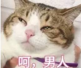 情人节快来了,除了女朋友你还缺什么