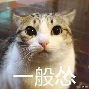 吃饱的表情包猫咪