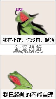 疯狂的青蛙gif动态表情包抓狂的青蛙表情包最新搞笑版软件下载