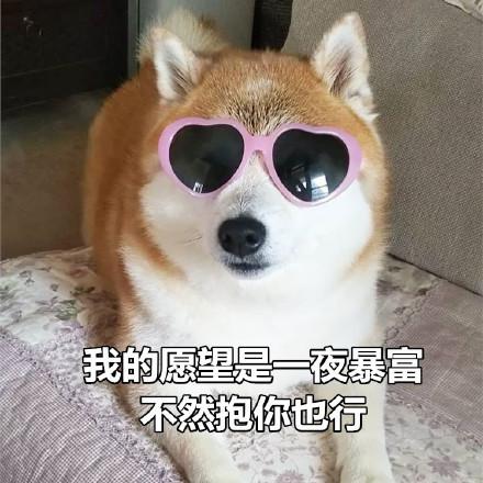 一组土味情话表情包七夕情人节快乐