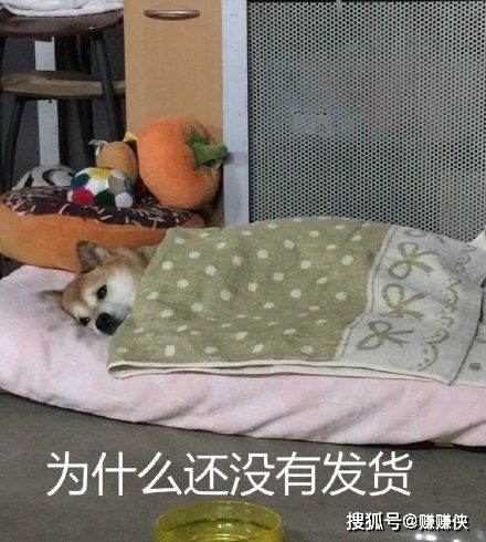 热门表情包图片别动,我在给你拍照,留下证据