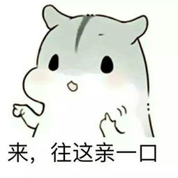 无性婚姻现在普遍吗