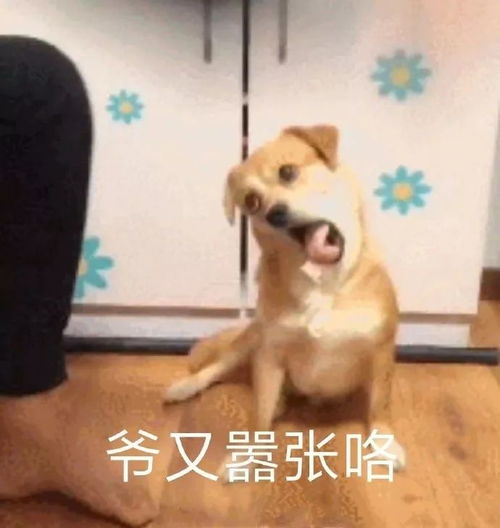 是大腿四岁辣,进来领福利