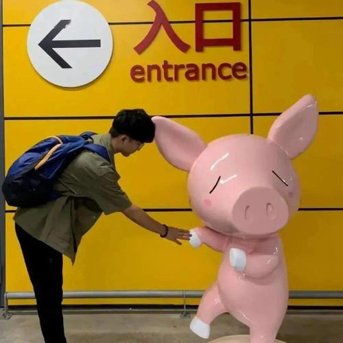 男生专用头像500张图猪帅气